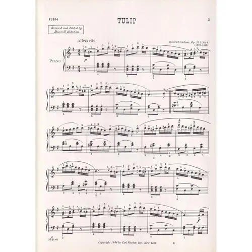 Tulip - Op.111 N.4