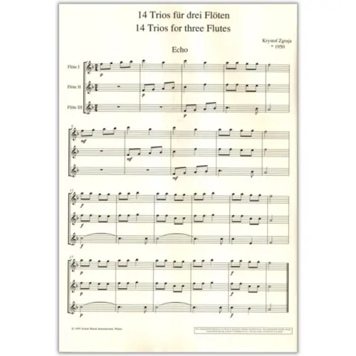 Modern Flutist Vol.3  - 14 Trios