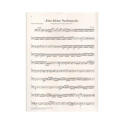 Divertimento Kv 525 ``Eine Kleine Nachtmusik``