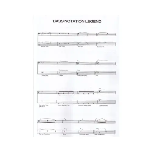 Dark Side Of The Moon - Bass