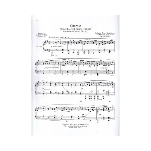 Jesus Bleibet Meine Freude (From Cantata n. 147)