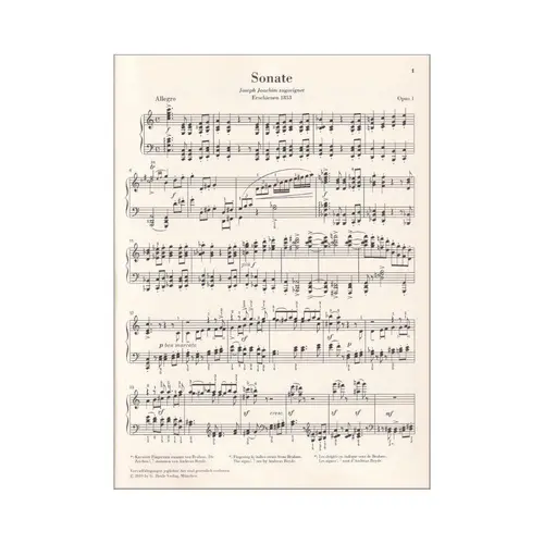 Sonatas, scherzo and ballades