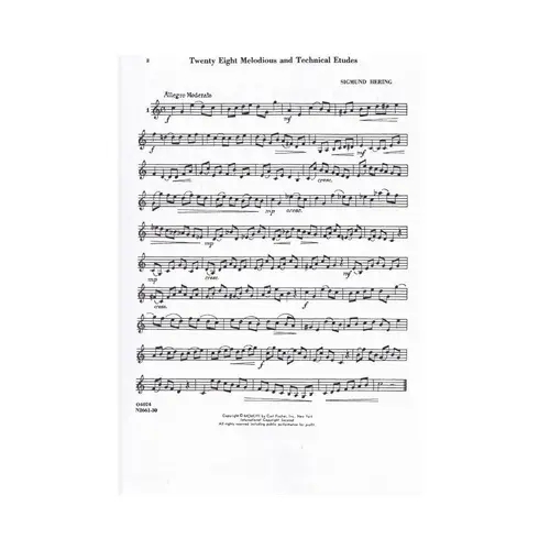 Twenty Eight Melodious and Technical Etudes