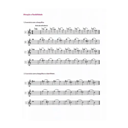 A voz do clarinetista - Afinação, ressonância e projeção