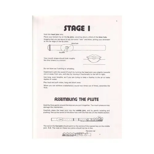 The Liveliest Way To Take Up   Flute - Vol.1
