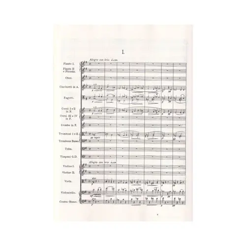 Symphonies N. 8 And 9 (New World) In Full Score