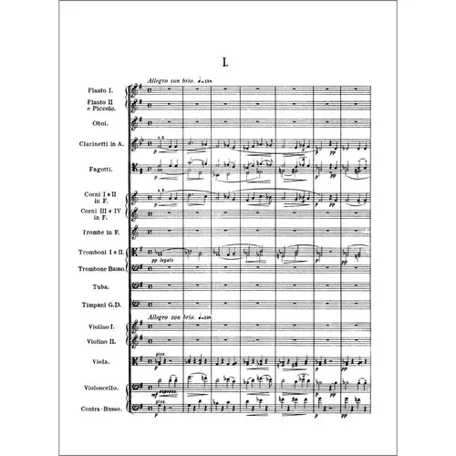 Symphonies N. 8 And 9 (New World) In Full Score
