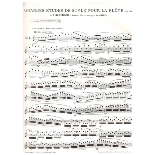 Grandes Etudes De Style pour flute
