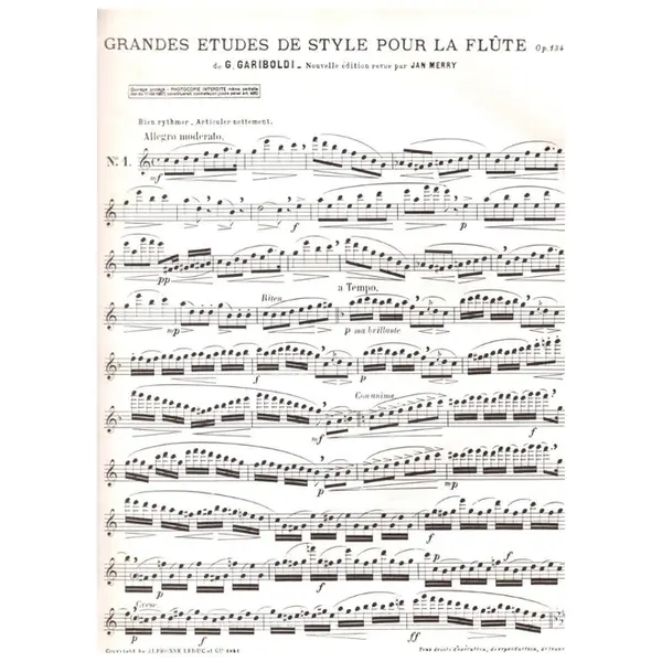 Grandes Etudes De Style pour flute