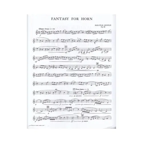 Fantasy For Horn