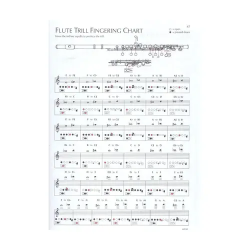 Standard Of Excellence Bk.3 - Flute
