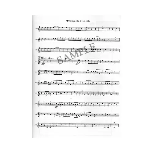The Orchestra Musician'S Cd-Rom Library Vol.04 - Tchaikovsky And More - Trumpet