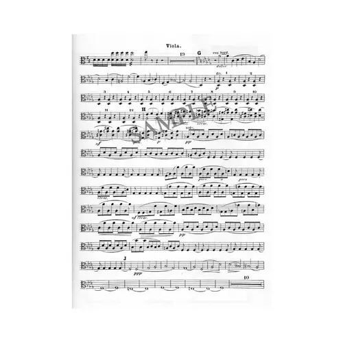 The Orchestra Musician'S Cd-Rom Library Vol.04 - Tchaikovsky And More - Viola
