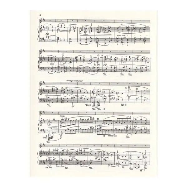Concerto D-Dur fur violine Opus 77