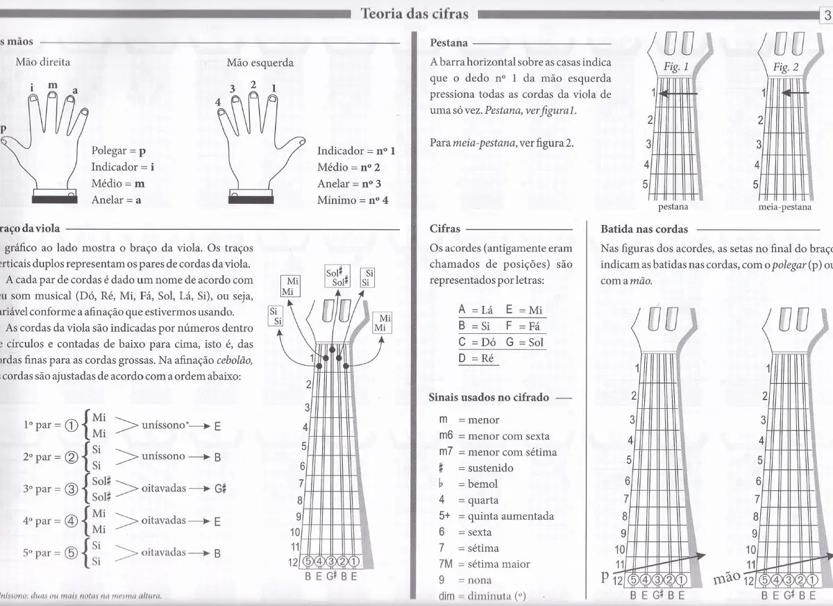 Pedagogia da viola caipira