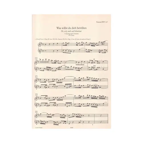 Kantaten Und Oratorien - Vol.2 - Floten-Repertoire