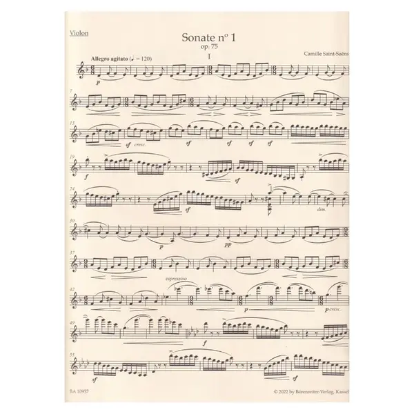 Sonata n.1 for Violin and Piano in D minor op. 75