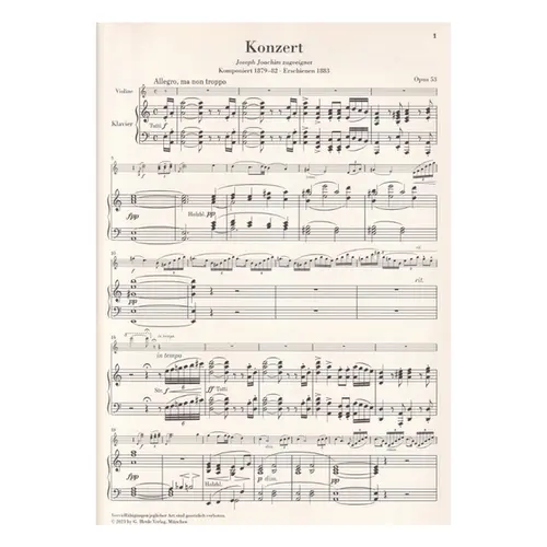 Violin Concerto a minor op. 53