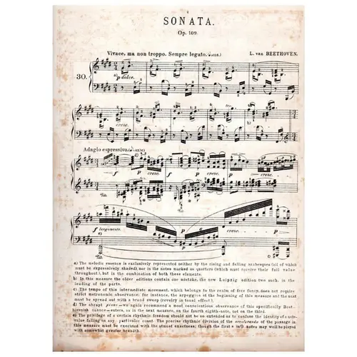 Sonata por the pianoforte n. 30 op. 109