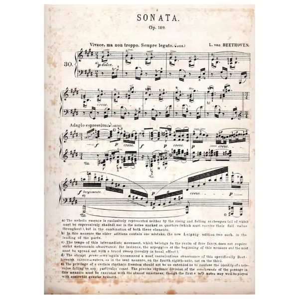 Sonata por the pianoforte n. 30 op. 109