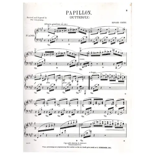 Papillon n. 1 Butterfly