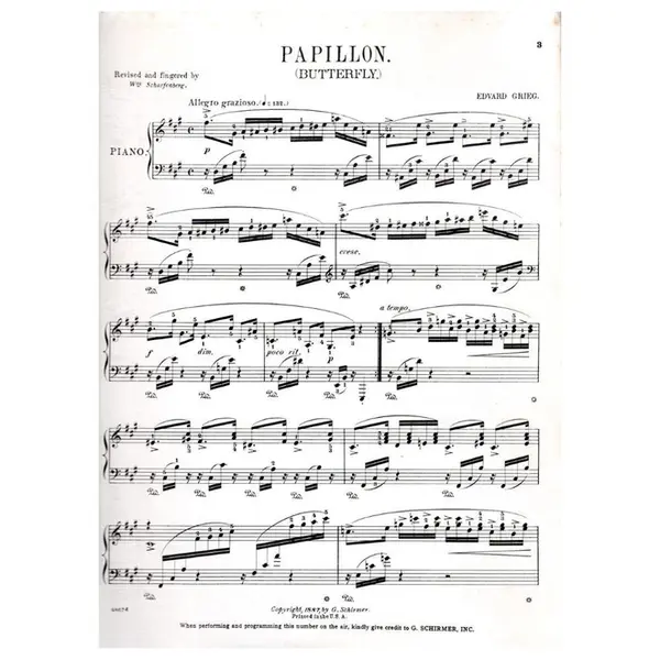 Papillon n. 1 Butterfly