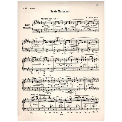 Mazurka n. 33 op. 56 n. 1 en B