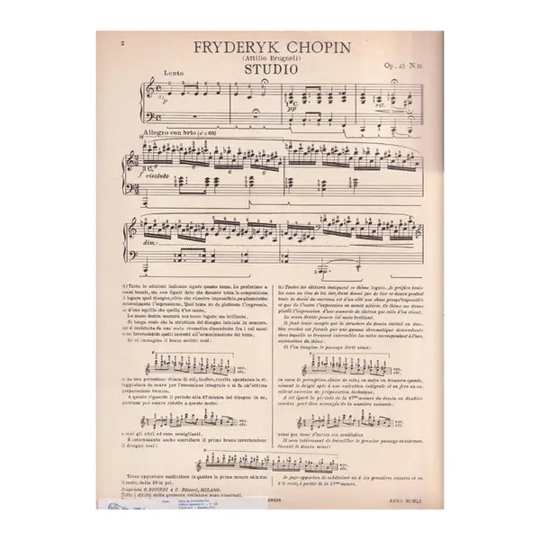 Studio - Op.25 N.11