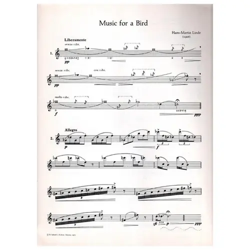 Music for a Bird fur Altblockflote
