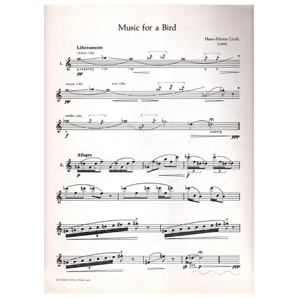 Music for a Bird fur Altblockflote