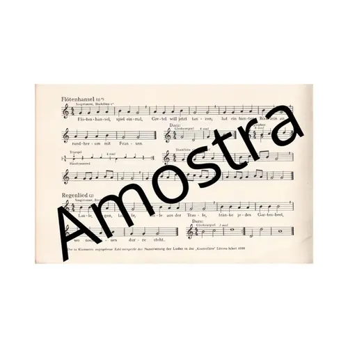 Erstes Musizieren