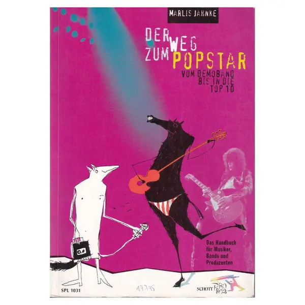 Der Weg Zum Popstar
