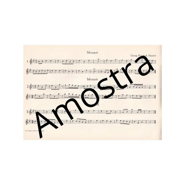 Stucke fur altblockflote und basso continuo