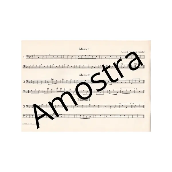 Stucke fur altblockflote und basso continuo