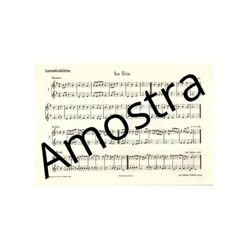 Im Trio - Kleine Triostucke von Meistern des Barock