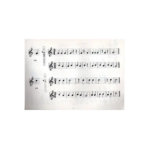 A Musicalização através da flauta doce