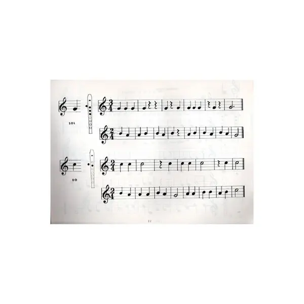 A Musicalização através da flauta doce