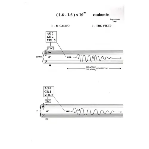(1.6 - 1.6) x 10 -19 coulombs para flauta, fagote e piano-amplo