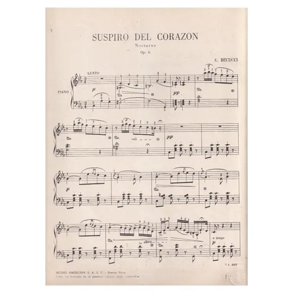 Suspiro Del Corazon (Nocturno - Op.6