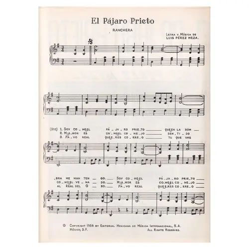 El Pajaro Prieto