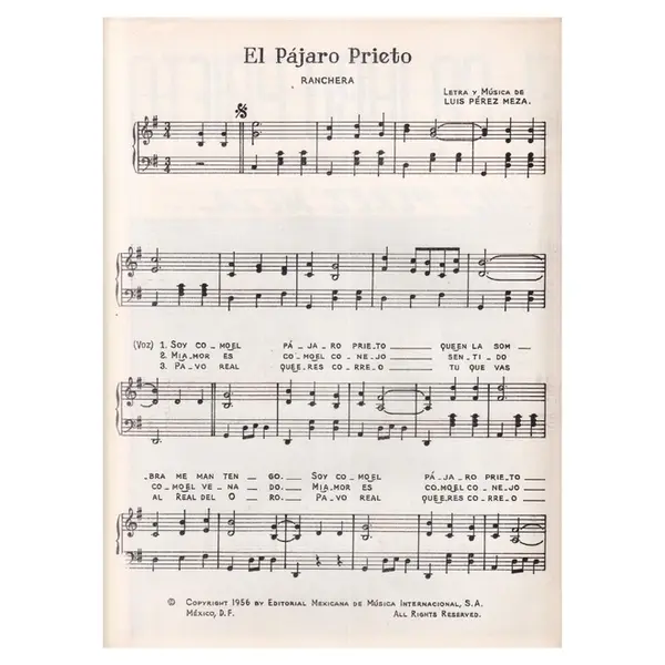 El Pajaro Prieto