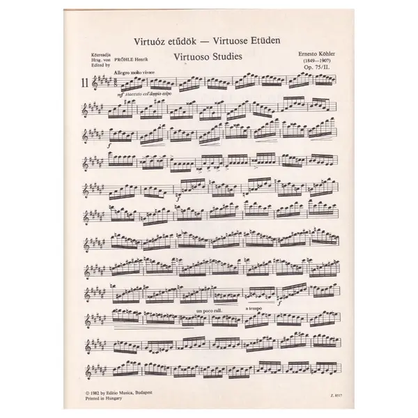 Virtuoso Studies for flute  Op.75-Vol.2