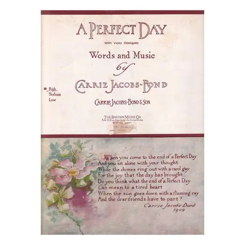 A Perfect Day
