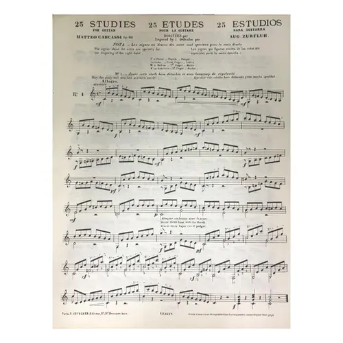 25 Etudes Pour La Guitare