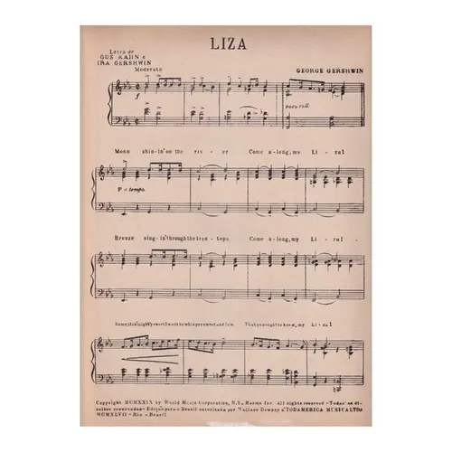 Liza - Fox