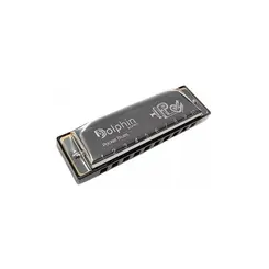 Harmonica Pocket Blues 20 Vozes Dó Abs Dolphin