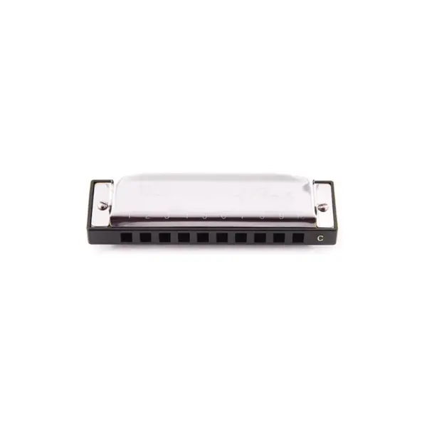 Harmonica Pocket Blues 20 Vozes Dó Abs Dolphin