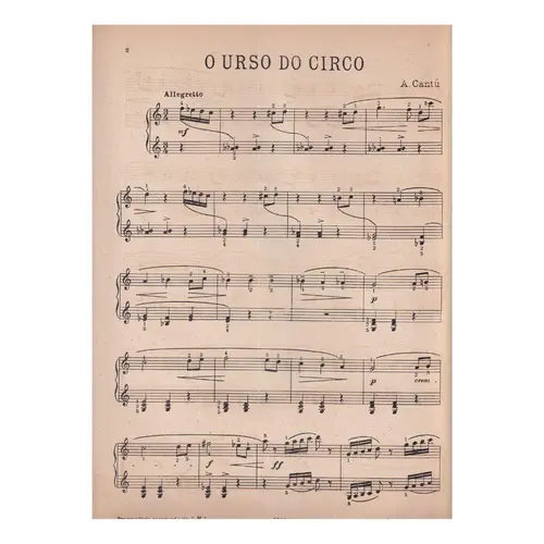 O Urso Do Circo