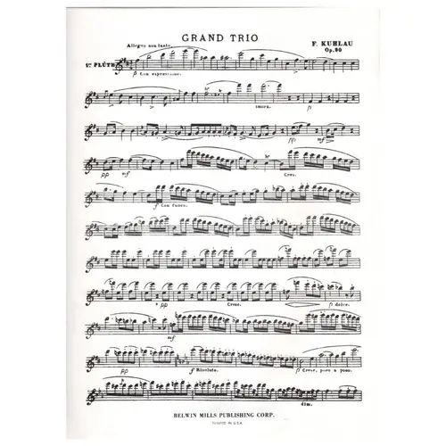 Grand trio for three flutes op. 90
