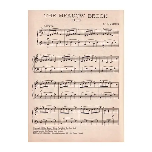 Estudo - The Meadow Brook